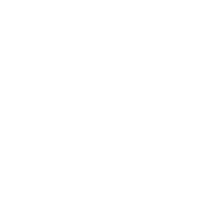 +wellvyl events