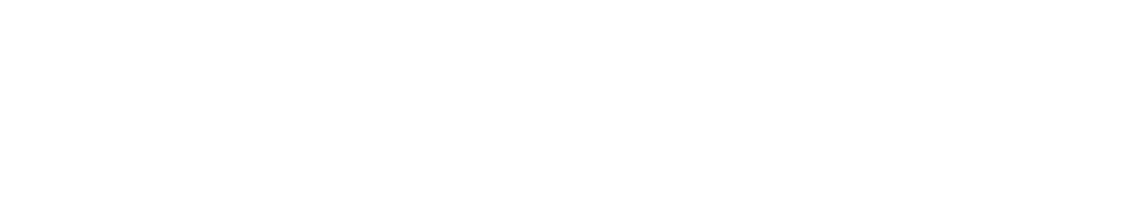 +wellvyl big white transparent logo