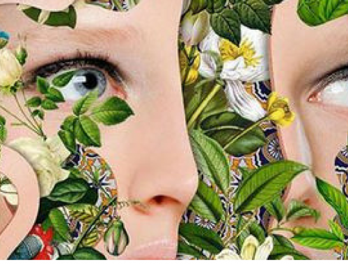 NEW FOR WEBSITE GRAPHICS 13