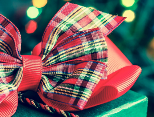 NEW FOR WEBSITE GRAPHICS 17