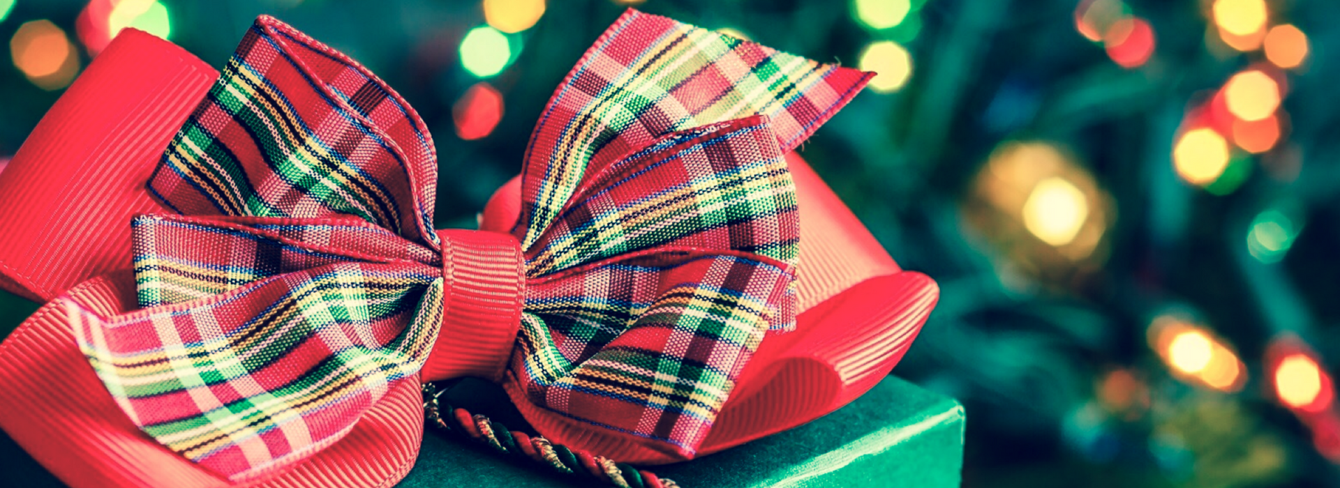 NEW FOR WEBSITE GRAPHICS 17