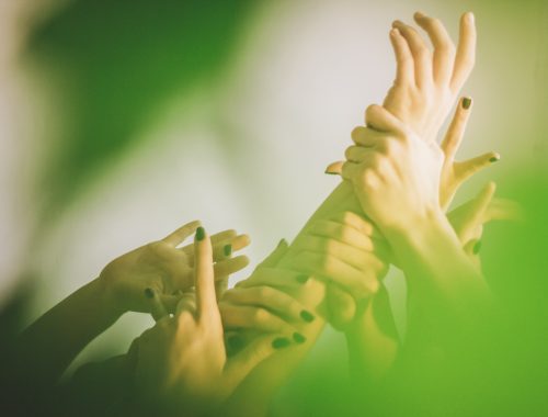 andrei lazarev 711310 unsplash