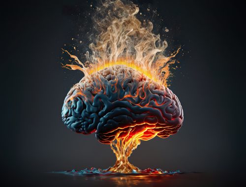 AdobeStock 564746147 scaled