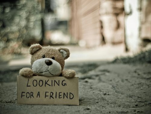 pexels murrrchalla 165263 3 scaled