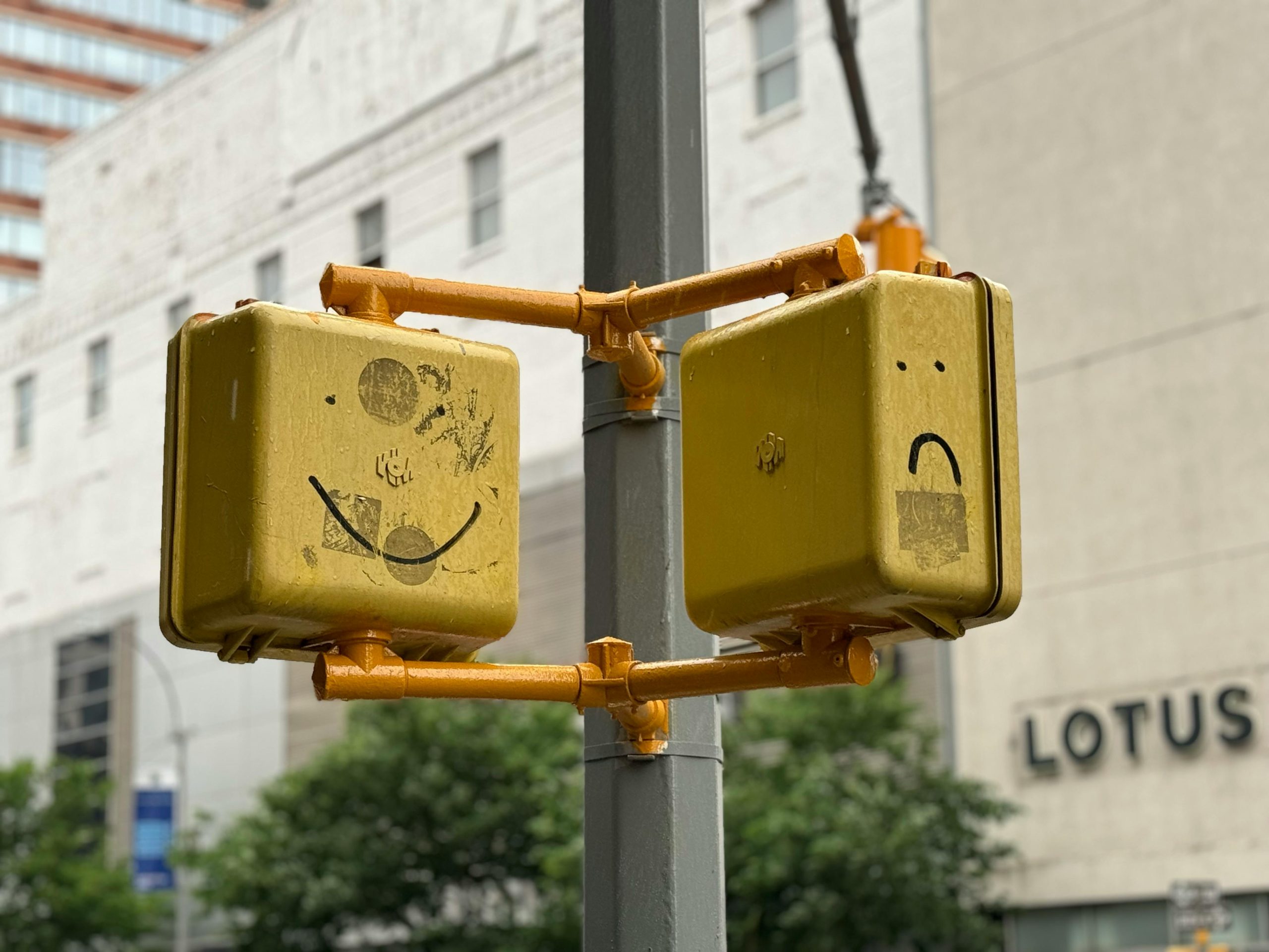 pexels sam lu 2147922337 29882066 scaled