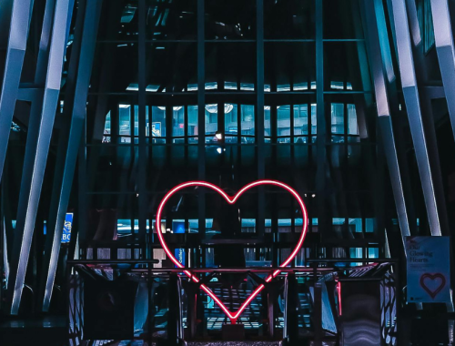 Untitled design (41)