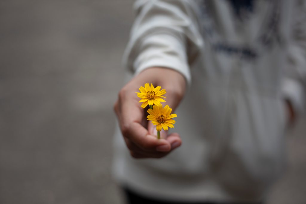 A hand holding a yellow flower extends to you.