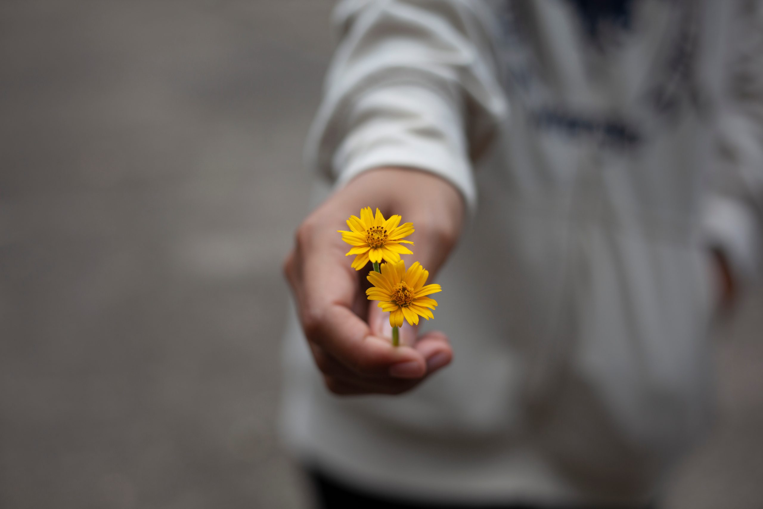 A hand holding a yellow flower extends to you.