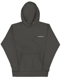 unisex-premium-hoodie-vintage-black 1