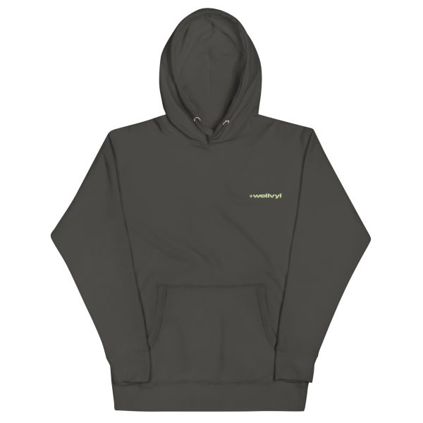 unisex-premium-hoodie-vintage-black 1