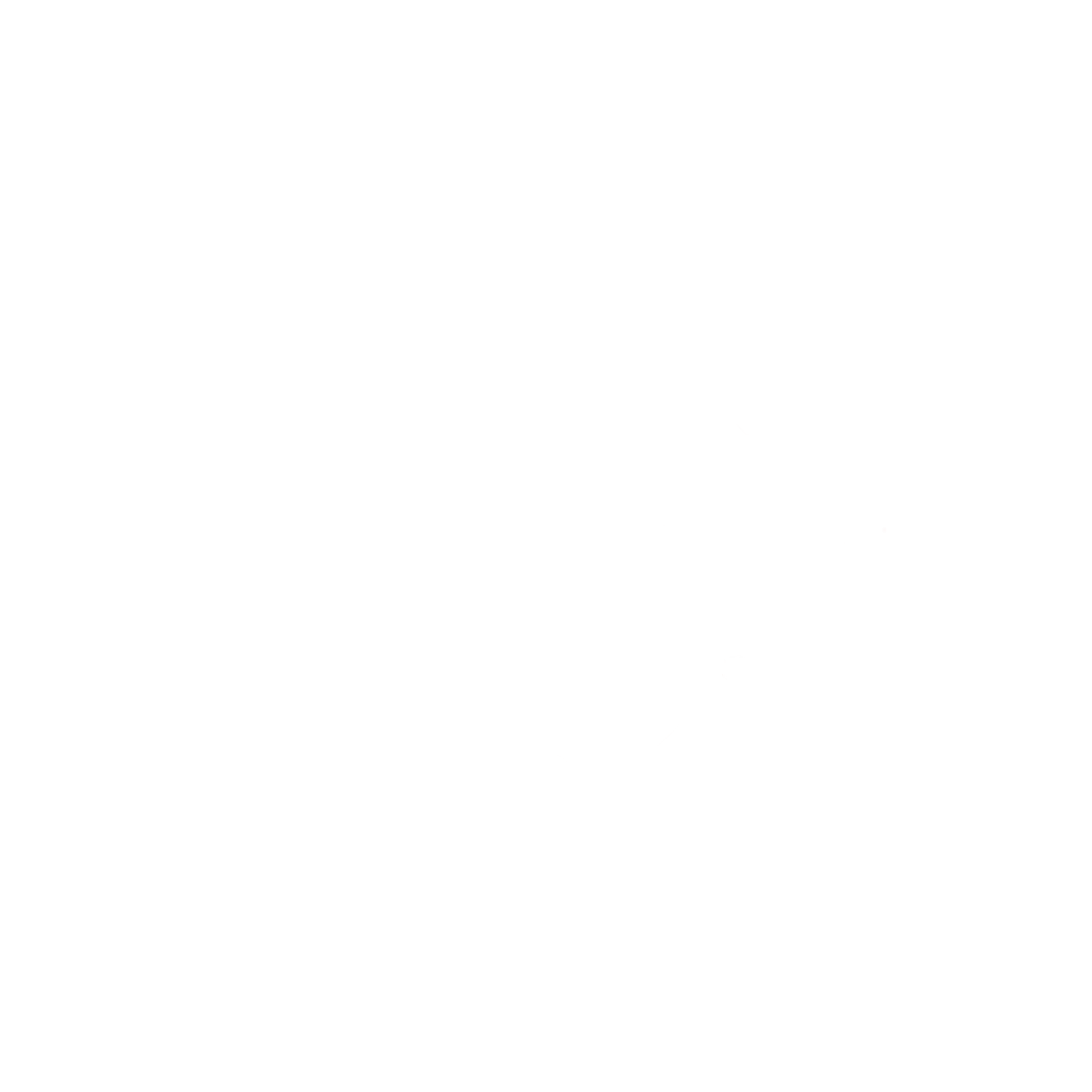 wellvyl-watermark-white-transparent-A